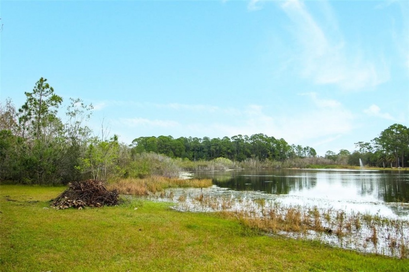 LAKE SHORE DRIVE, LAKE MARY, Florida 32746, ,Land,For Sale,LAKE SHORE,O5997852