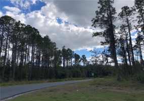 1098 & 1106 FULLERS CROSS ROAD, WINTER GARDEN, Florida 34787, ,Land,For Sale,FULLERS CROSS,G5050849