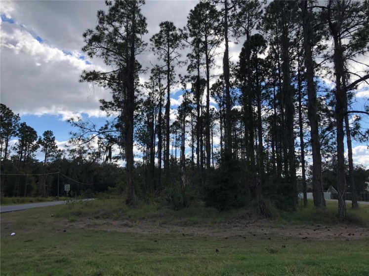 1098 & 1106 FULLERS CROSS ROAD, WINTER GARDEN, Florida 34787, ,Land,For Sale,FULLERS CROSS,G5050849