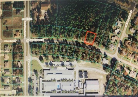 TBA 43 TERR RD, OCALA, Florida 34473, ,Land,For Sale,43 TERR RD,OM632946