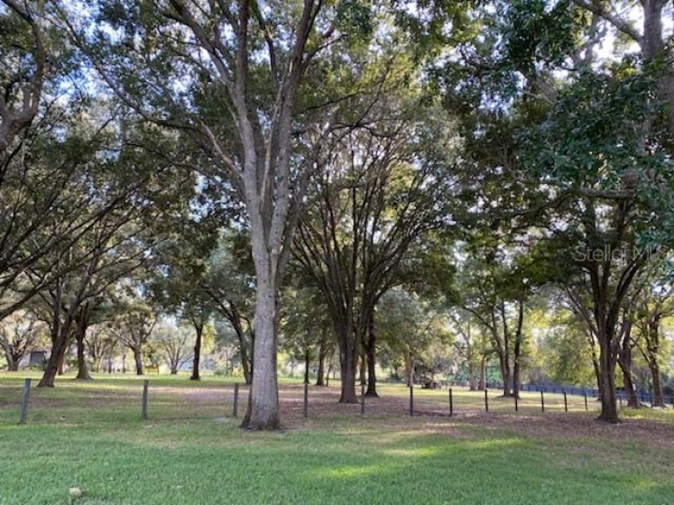 1253 FULLERS CROSS ROAD, WINTER GARDEN, Florida 34787, 4 Bedrooms Bedrooms, ,4 BathroomsBathrooms,Residential,For Sale,FULLERS CROSS,G5049866