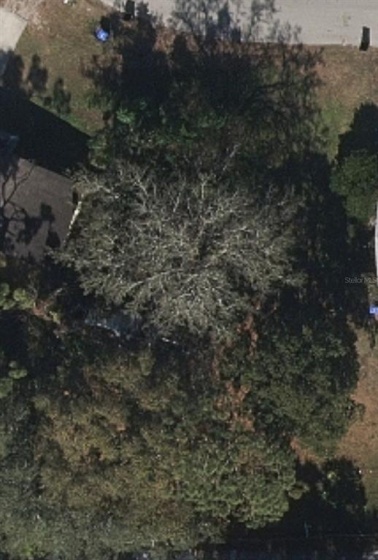 5300 BONNIE BRAE CIRCLE, ORLANDO, Florida 32808, ,Land,For Sale,BONNIE BRAE,S5061700