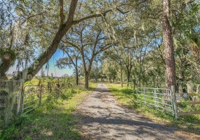1294 GREENSKEEP DRIVE, KISSIMMEE, Florida 34741, ,Land,For Sale,GREENSKEEP,S5061437