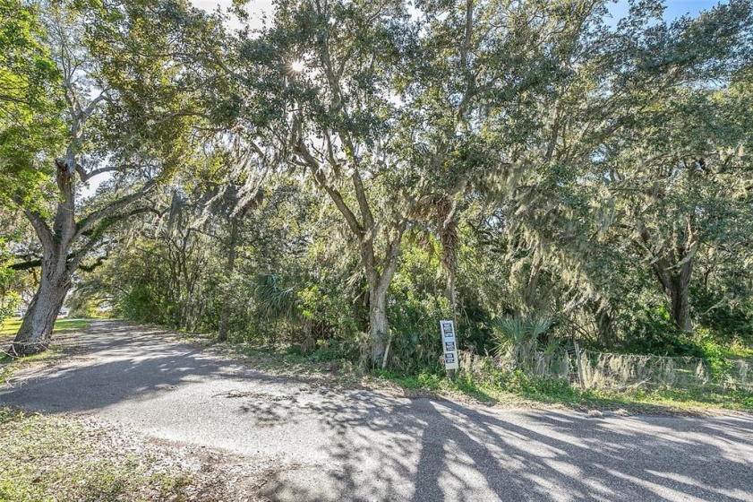 1294 GREENSKEEP DRIVE, KISSIMMEE, Florida 34741, ,Land,For Sale,GREENSKEEP,S5061437