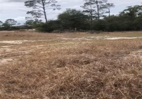 1329 SAINT AUGUSTINE COURT, POINCIANA, Florida 34759, ,Land,For Sale,SAINT AUGUSTINE,S5061619