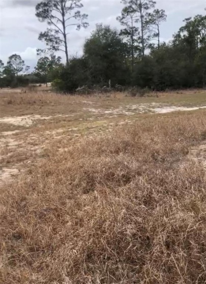 1329 SAINT AUGUSTINE COURT, POINCIANA, Florida 34759, ,Land,For Sale,SAINT AUGUSTINE,S5061619