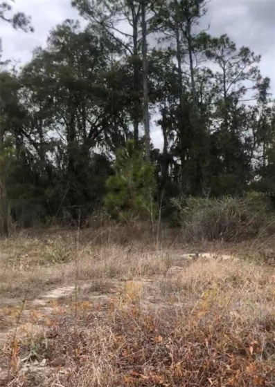 1329 SAINT AUGUSTINE COURT, POINCIANA, Florida 34759, ,Land,For Sale,SAINT AUGUSTINE,S5061619