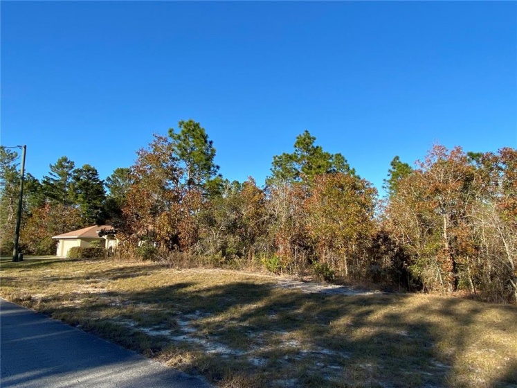 0 85 TERRACE, OCALA, Florida 34473, ,Land,For Sale,85,OM631155