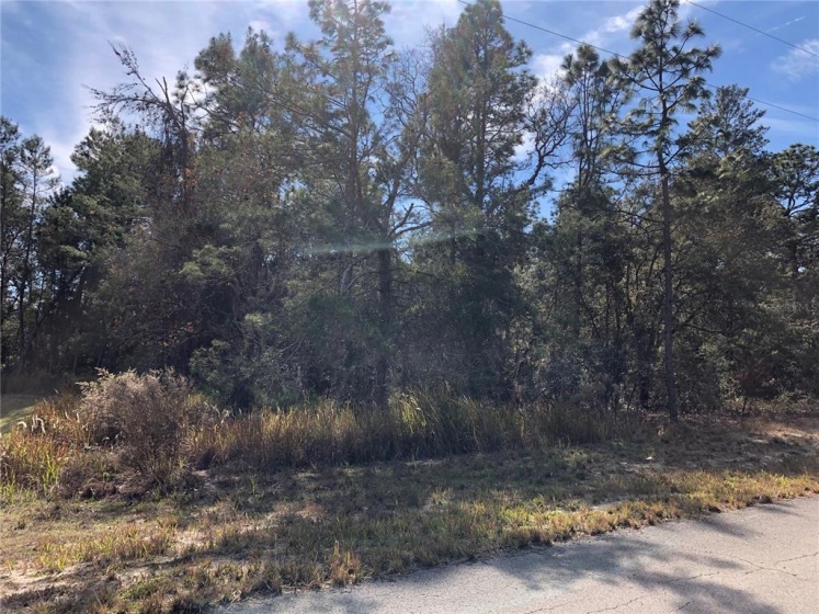 6852 149 LANE ROAD, OCALA, Florida 34473, 3 Bedrooms Bedrooms, ,2 BathroomsBathrooms,Residential,For Sale,149 LANE,O5998752