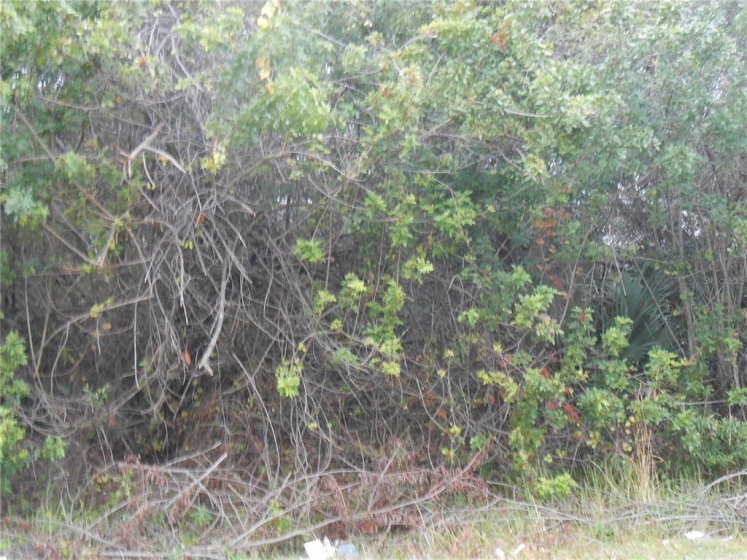 MEDITERRANEAN CT, KISSIMMEE, Florida 34758, ,Land,For Sale,MEDITERRANEAN CT,S5061787