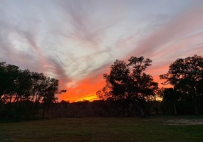 LAKE WOOD CIRCLE, OCALA, Florida 34482, ,Land,For Sale,LAKE WOOD,OM633147