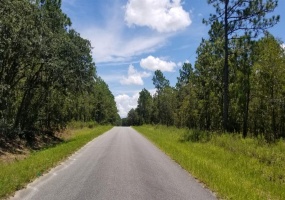 0 62ND PLACE, OCALA, Florida 34481, ,Land,For Sale,62ND,OM625035