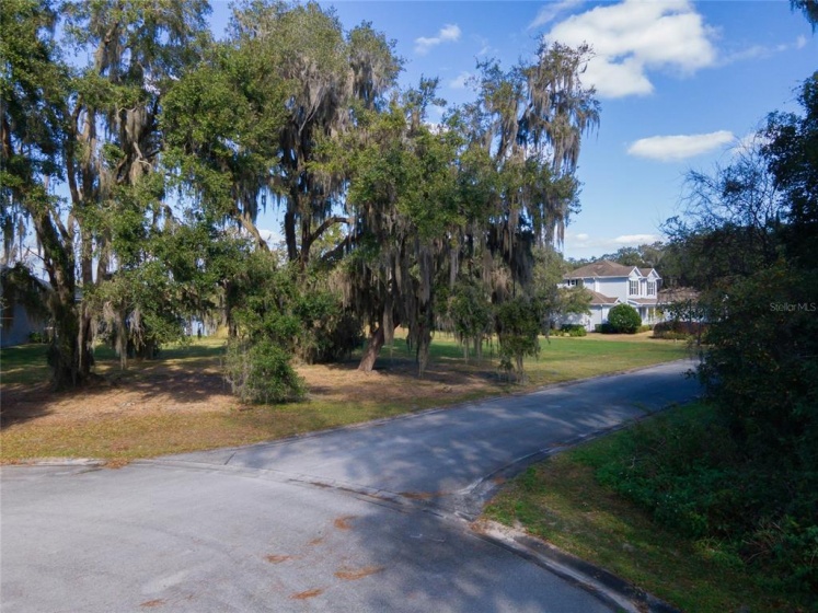 589 CHRISTINA LAKE DRIVE, LAKELAND, Florida 33813, ,Land,For Sale,CHRISTINA LAKE,L4927477