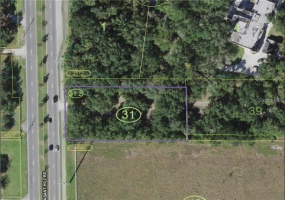 PLEASANT HILL RD, KISSIMMEE, Florida 34746, ,Land,For Sale,PLEASANT HILL RD,S5061856