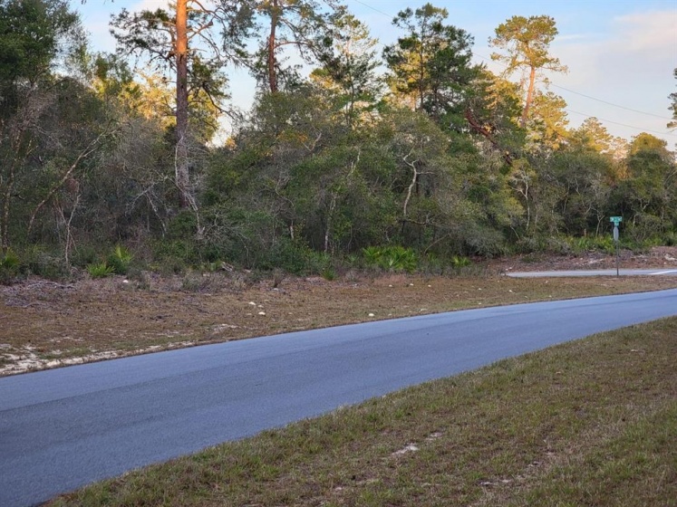 33RD TERRACE, OCALA, Florida 34473, ,Land,For Sale,33RD,O5999702
