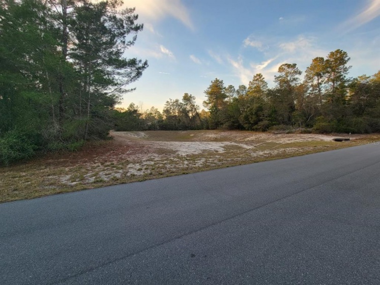 33RD TERRACE, OCALA, Florida 34473, ,Land,For Sale,33RD,O5999702