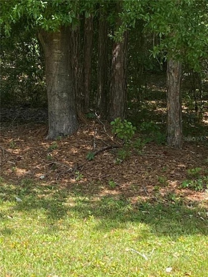 0 EVERGREEN BOULEVARD, POLK CITY, Florida 33868, ,Land,For Sale,EVERGREEN,G5040585