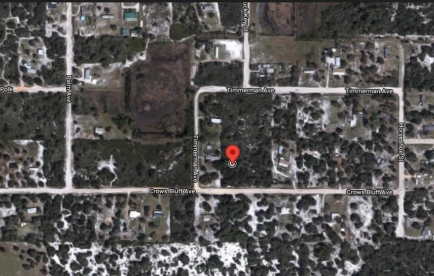 0 CROWS BLUFF AVENUE, LAKE WALES, Florida 33859, ,Land,For Sale,CROWS BLUFF,OM633368