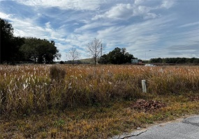 0 DOGWOOD TRAIL COURT, OCALA, Florida 34472, ,Land,For Sale,DOGWOOD TRAIL,OM633378