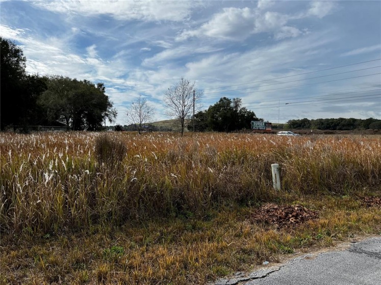 0 DOGWOOD TRAIL COURT, OCALA, Florida 34472, ,Land,For Sale,DOGWOOD TRAIL,OM633378