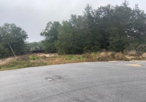000 PINE COURT, OCALA, Florida 34472, ,Land,For Sale,PINE,OM633433