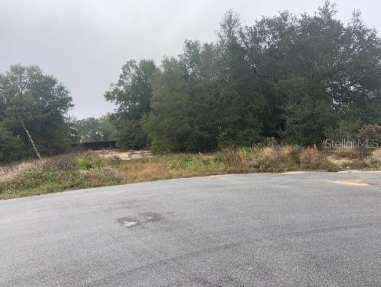 000 PINE COURT, OCALA, Florida 34472, ,Land,For Sale,PINE,OM633433