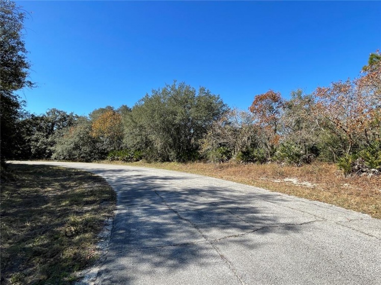 521 ST JOHNS COURT, POINCIANA, Florida 34759, ,Land,For Sale,ST JOHNS,O6000327