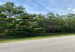 0 115TH STREET, OCALA, Florida 34476, ,Land,For Sale,115TH,OM624470