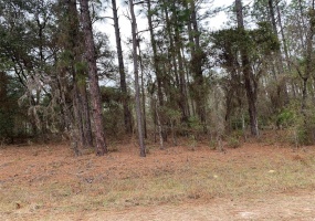 75TH STREET, OCALA, Florida 34481, ,Land,For Sale,75TH,OM633473