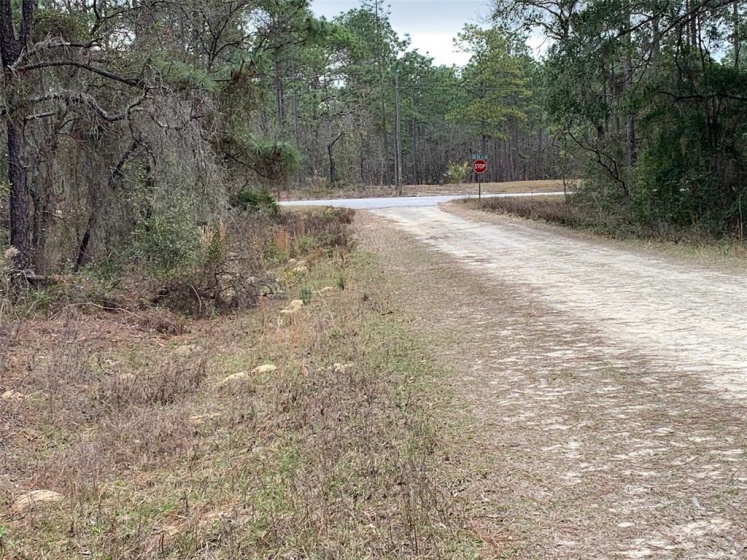 75TH STREET, OCALA, Florida 34481, ,Land,For Sale,75TH,OM633473