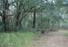 64 STREET, OCALA, Florida 34482, ,Land,For Sale,64,OM633475