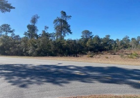 MARION OAKS BLVD, OCALA, Florida 34473, ,Land,For Sale,MARION OAKS BLVD,G5050826