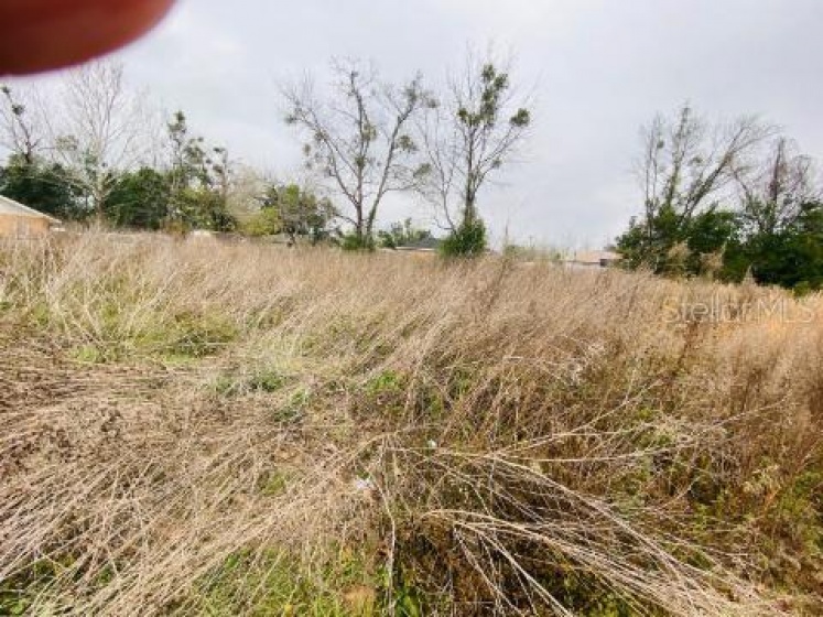3RD PLACE, OCALA, Florida 34482, ,Land,For Sale,3RD,OM633096
