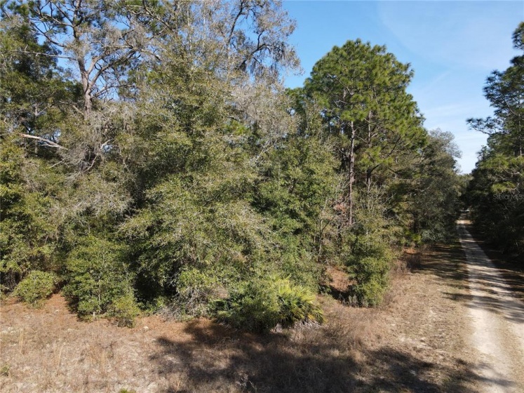 LOT 70-18 21ST PLACE, OCALA, Florida 34481, ,Land,For Sale,21ST,OM633524