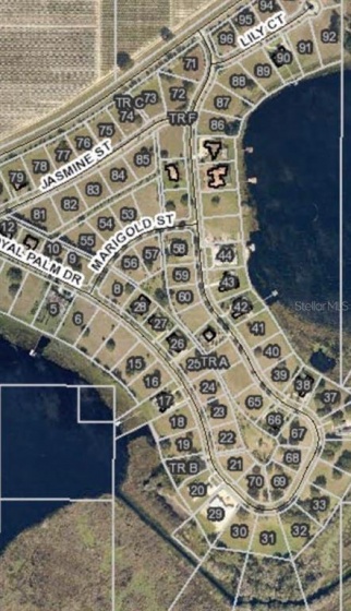 LOT 69. ROYAL PALM DRIVE, GROVELAND, Florida 34736, ,Land,For Sale,LOT 69. ROYAL PALM,G5044544