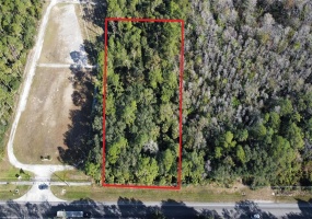 ORANGE BLOSSOM TRAIL, DAVENPORT, Florida 33896, ,Land,For Sale,ORANGE BLOSSOM,O6000854
