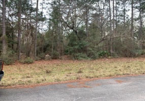 0 156 STREET, OCALA, Florida 34473, ,Land,For Sale,156,OM633596