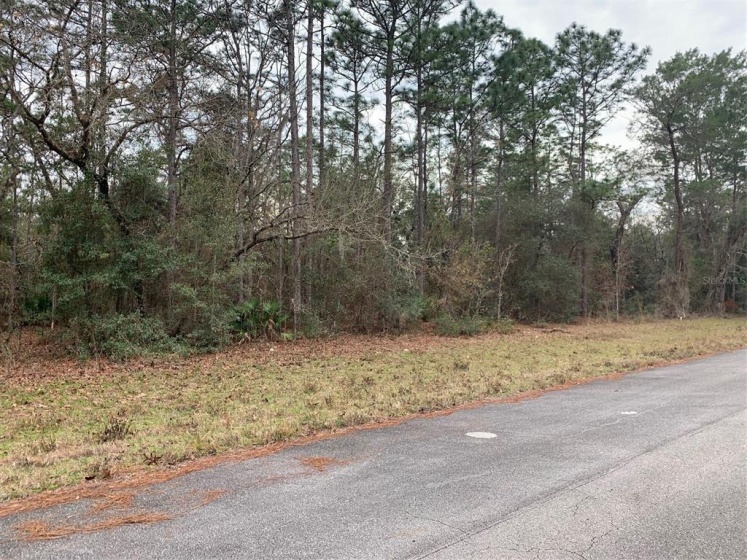 0 156 STREET, OCALA, Florida 34473, ,Land,For Sale,156,OM633596