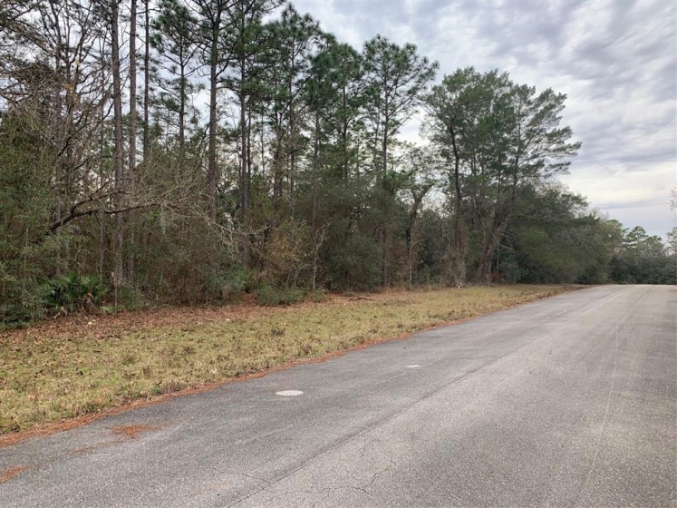 0 156 STREET, OCALA, Florida 34473, ,Land,For Sale,156,OM633596