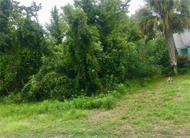 TBD 137TH LOOP, OCALA, Florida 34473, ,Land,For Sale,137TH,G5051368