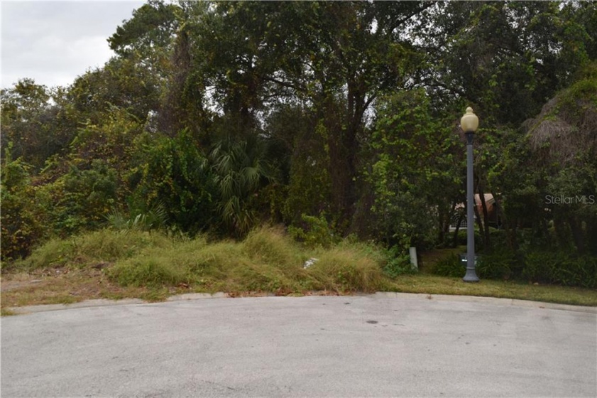 746 MARKHAM WOODS ROAD, LONGWOOD, Florida 32779, ,Land,For Sale,MARKHAM WOODS,O5478744
