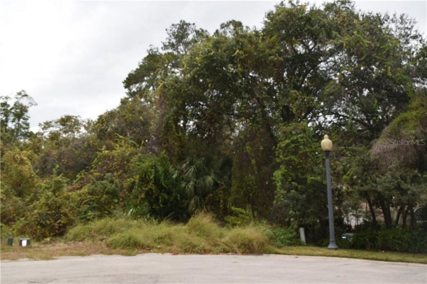 746 MARKHAM WOODS ROAD, LONGWOOD, Florida 32779, ,Land,For Sale,MARKHAM WOODS,O5478744