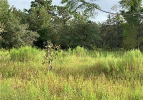 0 100TH STREET, OCALA, Florida 34476, ,Land,For Sale,100TH,OM626824