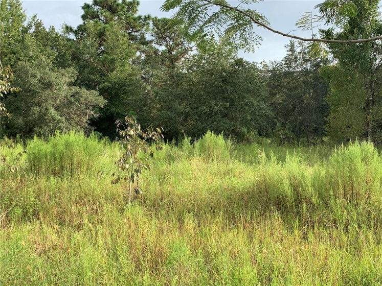 0 100TH STREET, OCALA, Florida 34476, ,Land,For Sale,100TH,OM626824