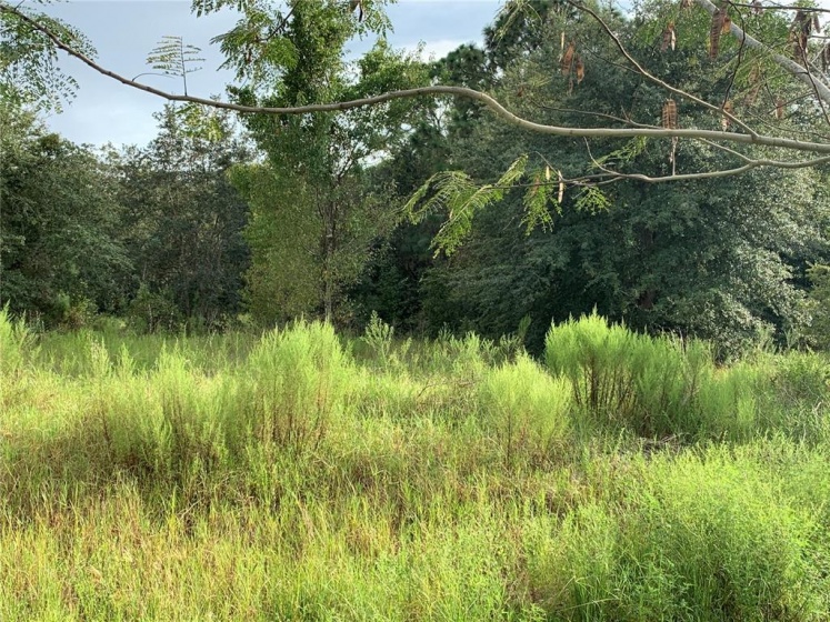 0 100TH STREET, OCALA, Florida 34476, ,Land,For Sale,100TH,OM626824