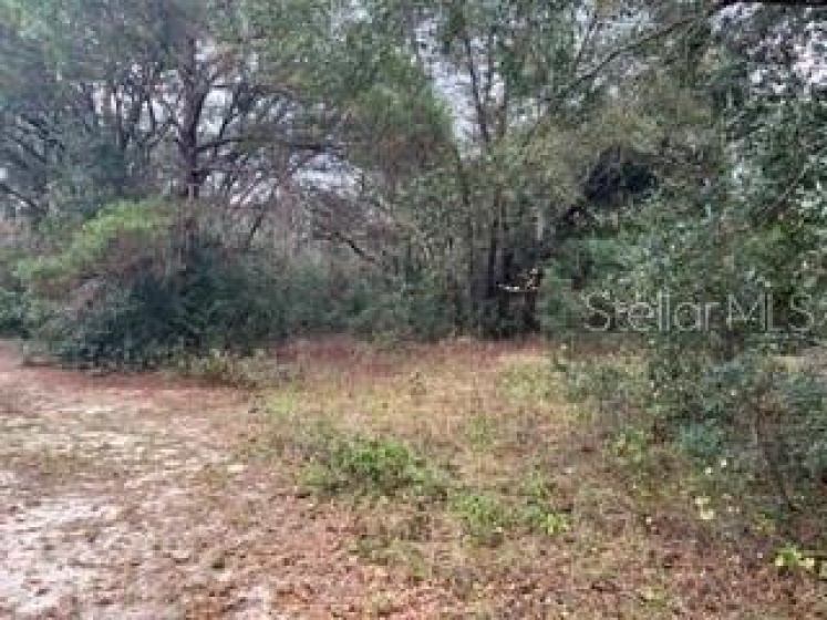 APOPKA, Florida 32703, ,Land,For Sale,O6001168