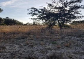 54TH AVENUE, OCALA, Florida 34473, ,Land,For Sale,54TH,OM633692