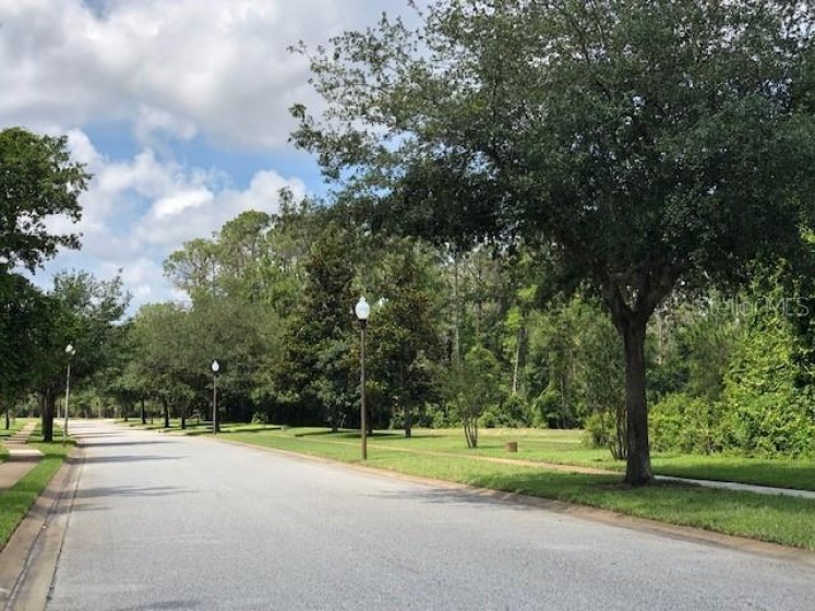 11827 RAMBLING OAK BOULEVARD, ORLANDO, Florida 32832, ,Land,For Sale,RAMBLING OAK,T3353542
