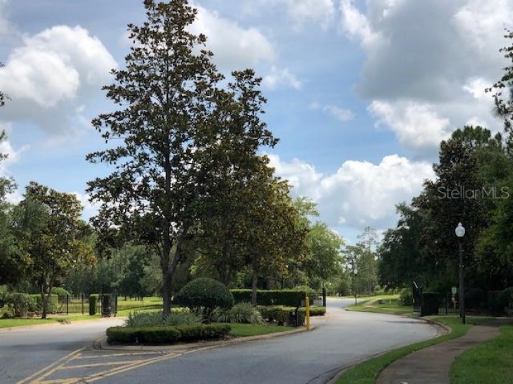 11827 RAMBLING OAK BOULEVARD, ORLANDO, Florida 32832, ,Land,For Sale,RAMBLING OAK,T3353542