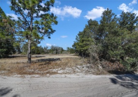 BOWFIN COURT, POINCIANA, Florida 34759, ,Land,For Sale,BOWFIN,O6001476